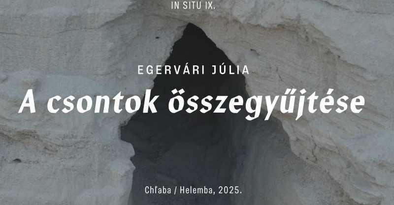Helyspecifikus akció egy homokbányában, uszadékfák mozgatásával és kupacba rendezésével. ;