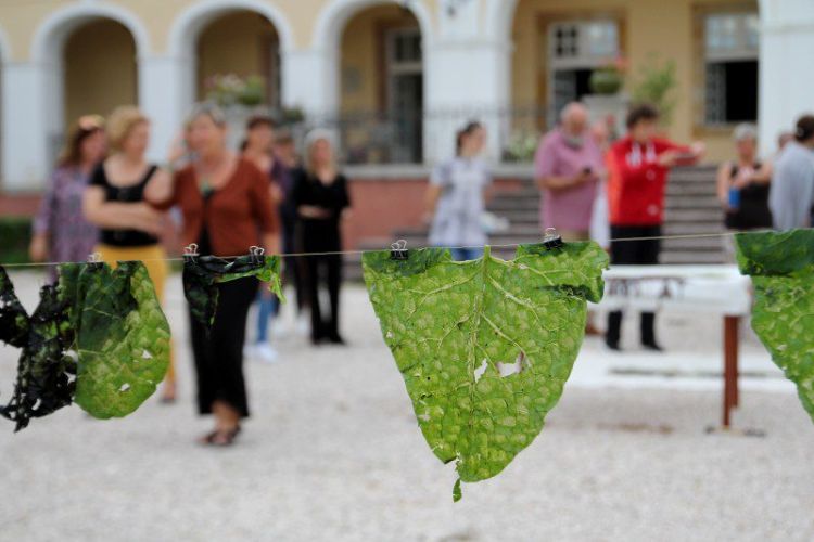 Performansz a közönség bevonásával, növény lenyomat kalapálással, festés természetes pigmentekkel nagy méretű textilen. ; 