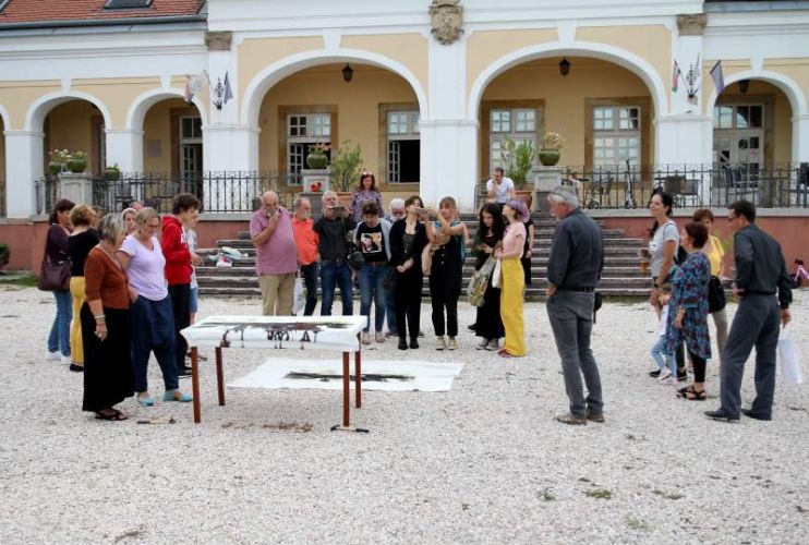 Performansz a közönség bevonásával, növény lenyomat kalapálással, festés természetes pigmentekkel nagy méretű textilen. ; 