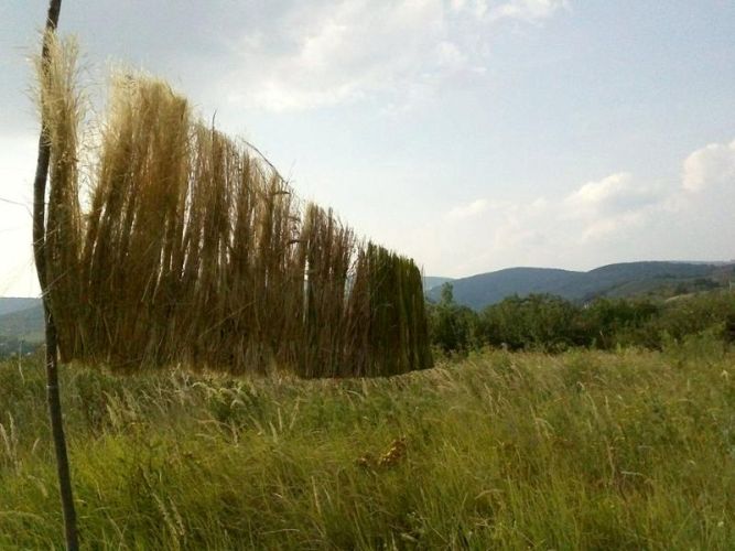 Növényi szálakból készült land art installáció dombos tájban, Noszvaj közelében, 2013.;
