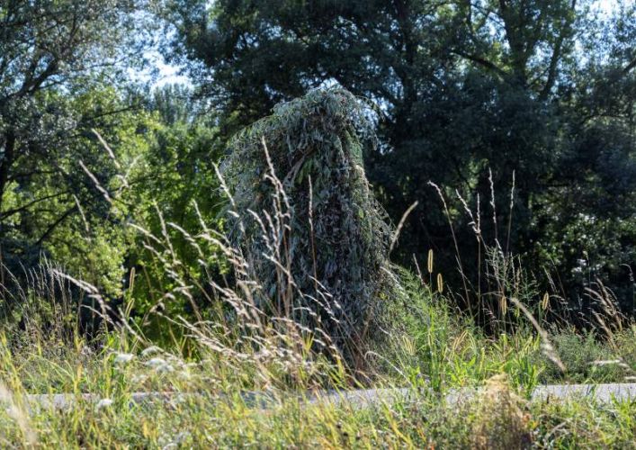 Természetművészeti akció természeti környezetben, egy hordozható hajlék növényekből. ; 
