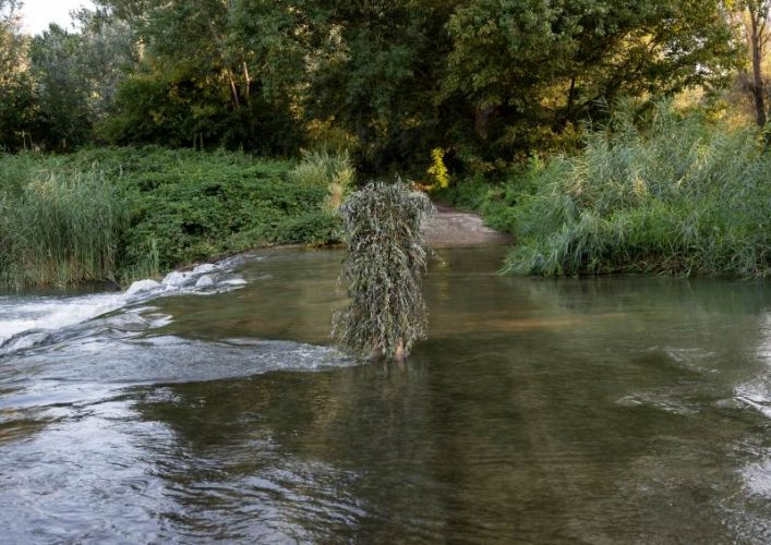 Természetművészeti akció természeti környezetben, egy hordozható hajlék növényekből. ; 