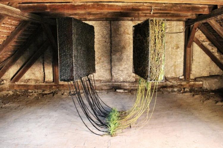 Függés című munka, 2013-ban készült, anyaga betonvas, fonal, fűzfavessző, élő fű