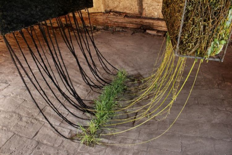 Függés című munka, 2013-ban készült, anyaga betonvas, fonal, fűzfavessző, élő fű