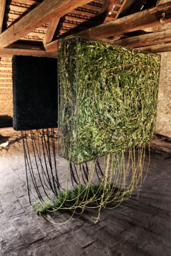 Függés című munka, 2013-ban készült, anyaga betonvas, fonal, fűzfavessző, élő fű