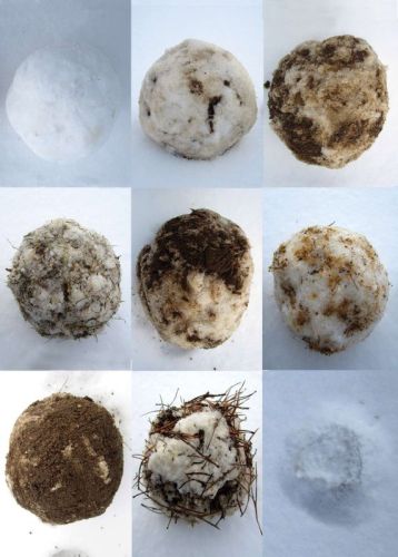 Hógolyók sorozata földdel és növényi anyagokkal borítva, a hó fokozatos olvadásának és átalakulásának folyamata, 2013;